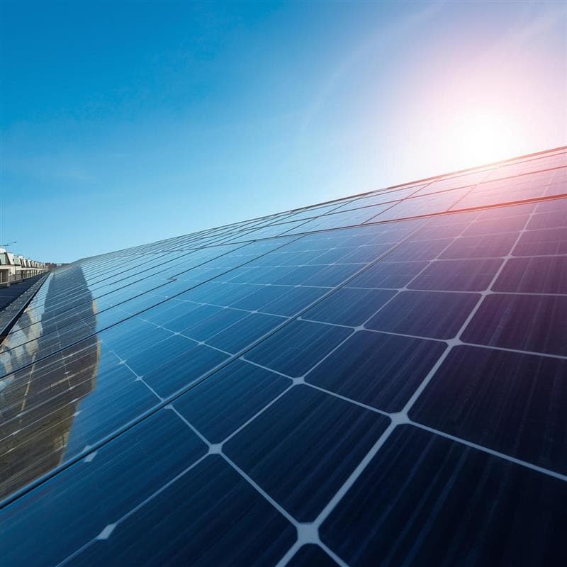 About Navya EcoPower